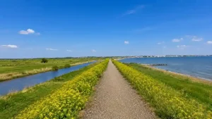 Cudmore Grove Country Park