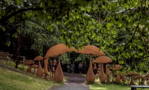 Durham University Botanic Garden: Nature's Retreat