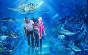 National SEA LIFE Centre Birmingham