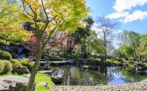 Holland Park