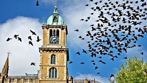 things to do in aylesbury