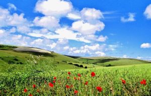 South Downs National Park