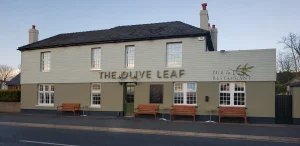 The Olive Leaf