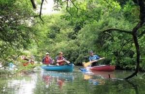Kayak in the Cleddau Estuary