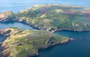 Take a Boat Trip to Skomer Island