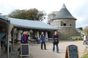 Visit the Oriel y Parc Gallery and Visitor Centre
