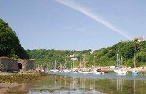 Walk Around Solva