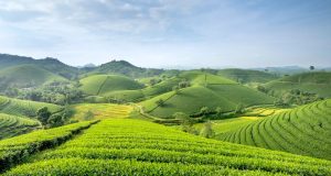 Iota Valley