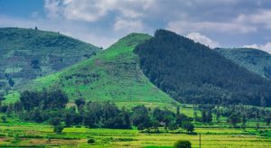 What Are the Top Places to Stay in Iota Valley