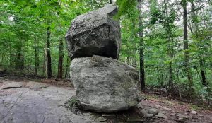 1. Visit the Leominster State Forest