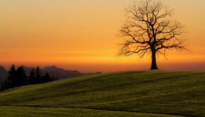 15. Capture Stunning Views of Sunset Hill