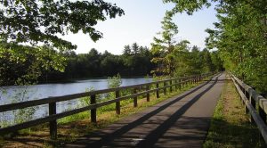 7. Cycle Through Scenic Trails