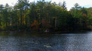 8. Try Kayaking at Crow Hill Pond