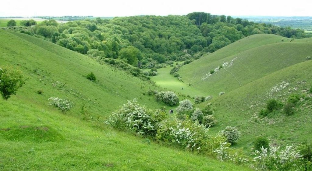 Top 10 Things to Do in Luton, England, UK | Unmissable Attractions ...