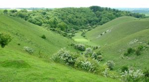 Get Close to Nature at Barton Hills Nature Reserve